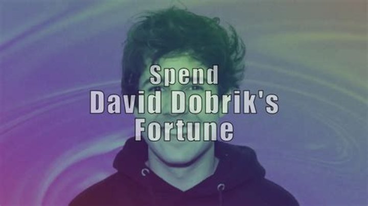 David Dobrik Fortune
