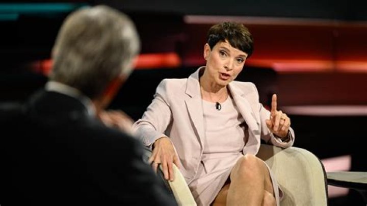 Frauke Petry Fortune