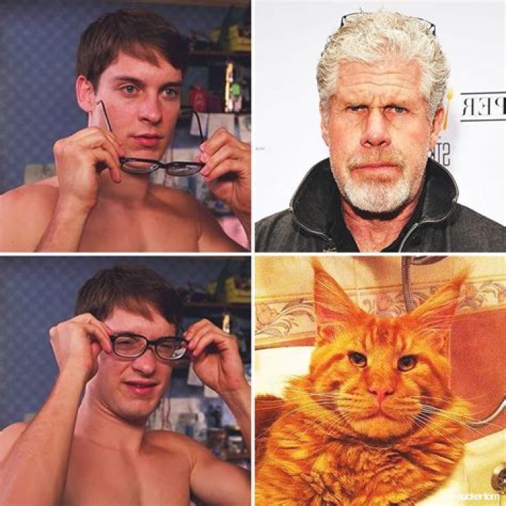 Ron Perlman - Celebrity