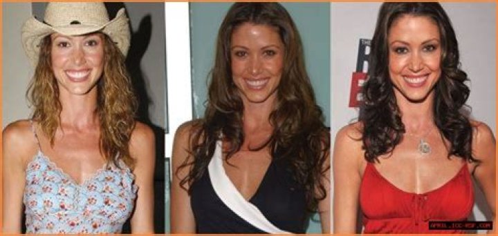Shannon Elizabeth Plastic Surgery Before and After