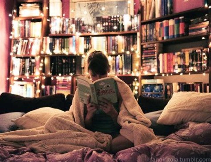 The room inspo every bookworm needs